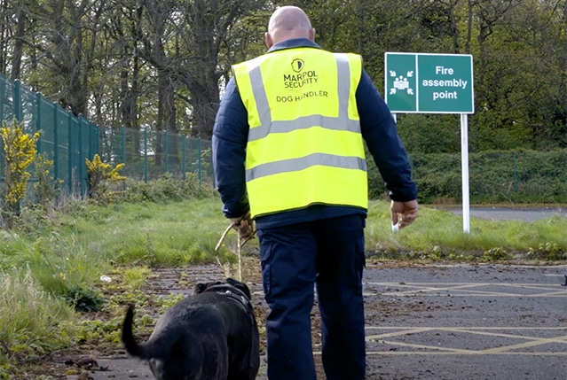 Marpol-K9-Guard-Dogs